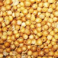 Coriander Seeds